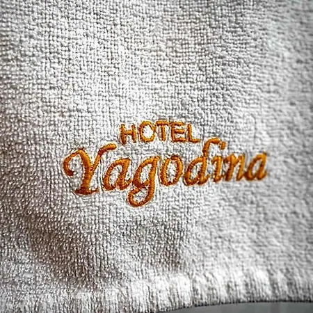 Hotel Yagodina Family