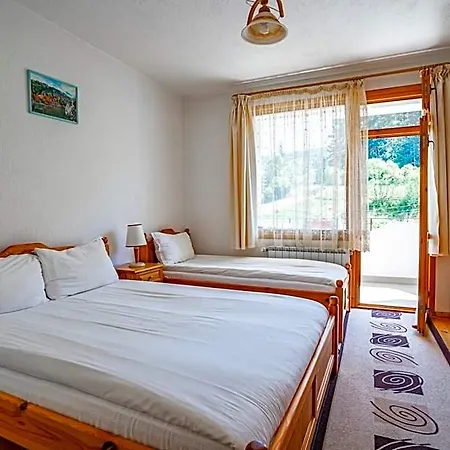 Yagodina Family Hotel Borino