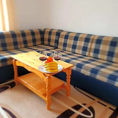 Hotel Yagodina Family