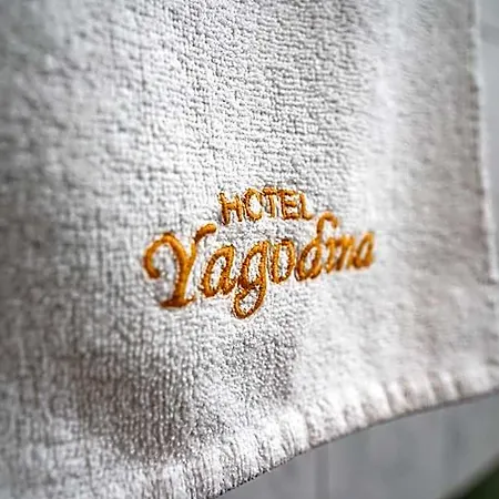 Hotel Yagodina Family